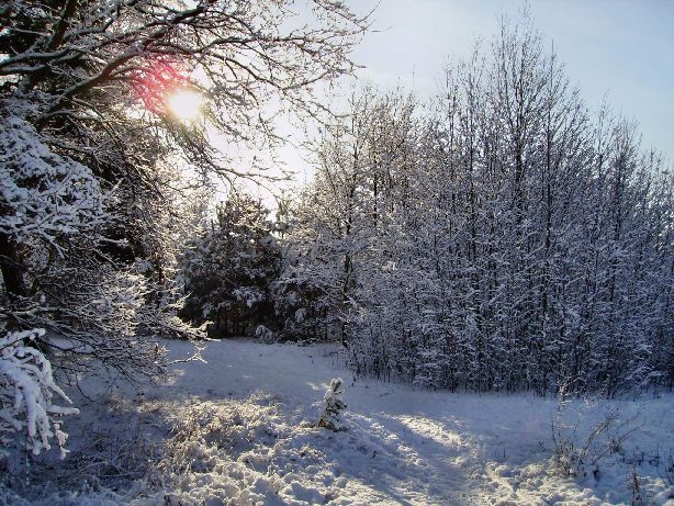 Heide mit Umland