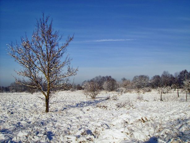 Heide und Umland