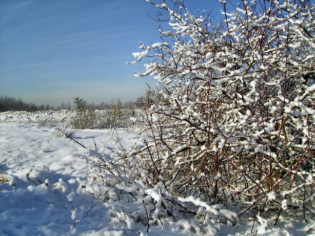 Heide und Umland