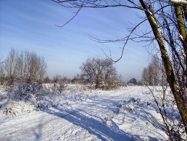 Heide und Umland