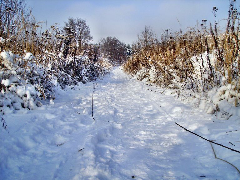Heide und Umland