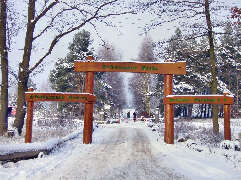 Schnower Heide