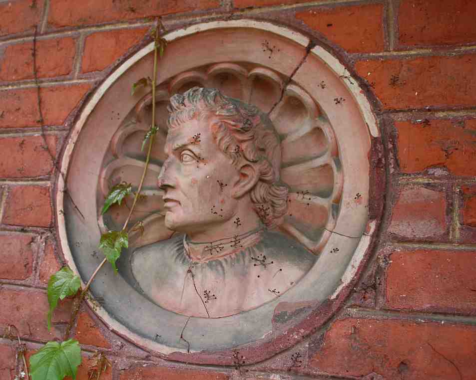 Scutellum