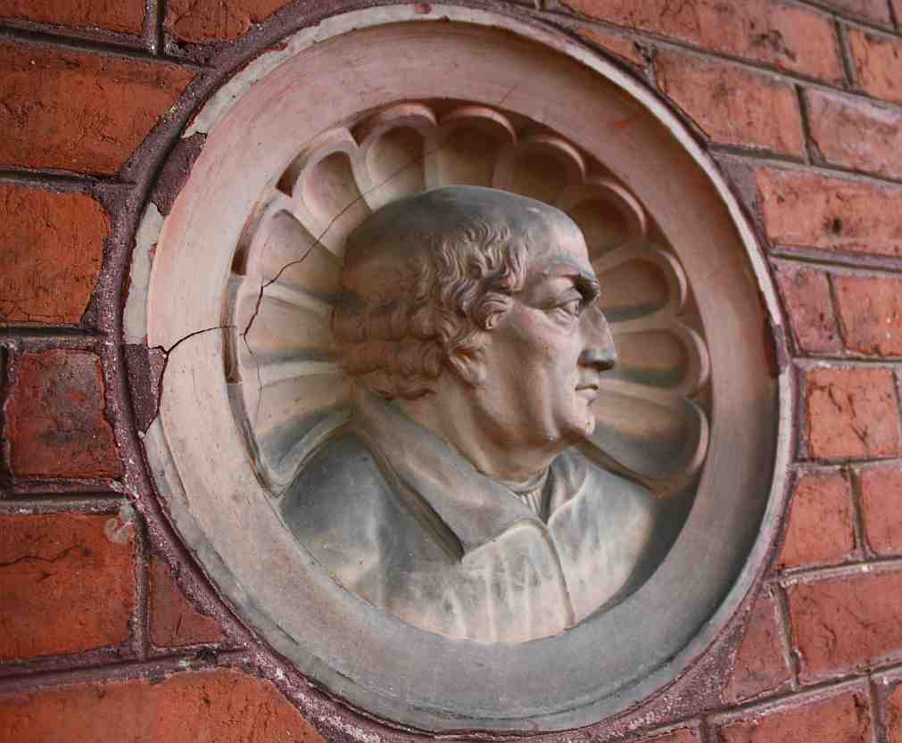 Scutellum